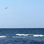 Vakantiehuis Moeve Aba 64 *